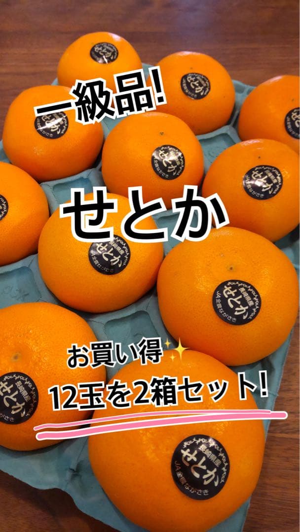 せとか12玉×2箱セット
