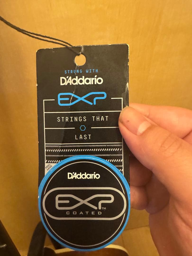 Stafford & Co エレキアコースティックギター