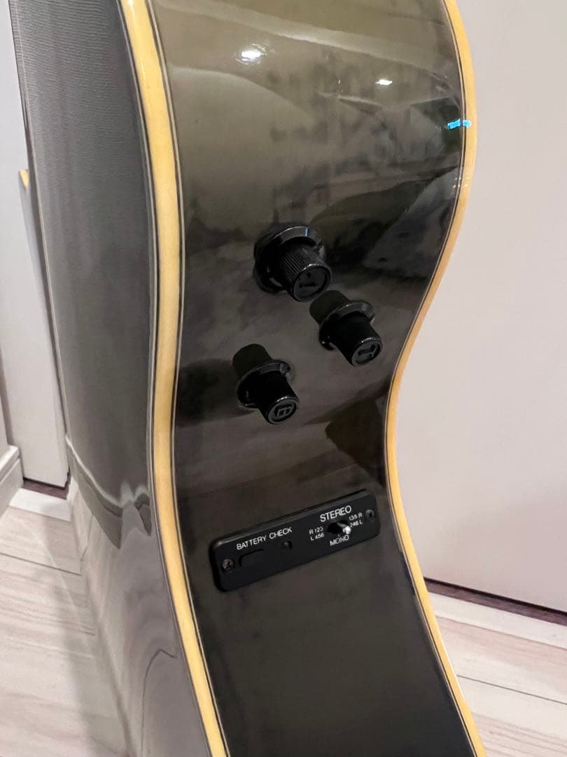 YAMAHA APX-10s GRB #002 日本製③