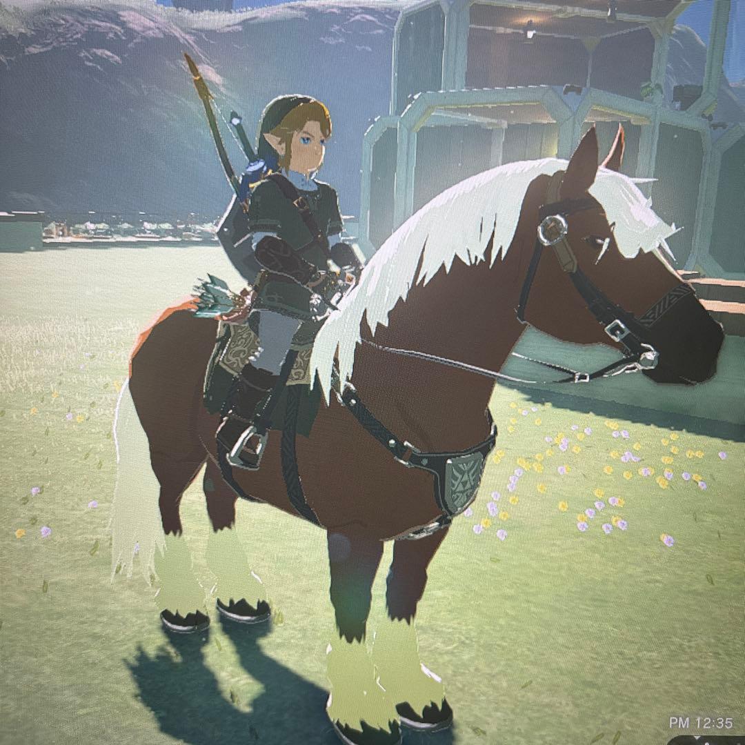 ゼルダの伝説 amiibo ６体セット リンク ゼルダ姫