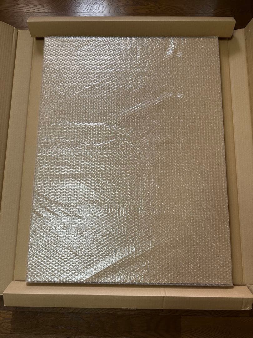 家庭教師ヒットマンREBORN 額装高精細デジタルカラー　天野明展