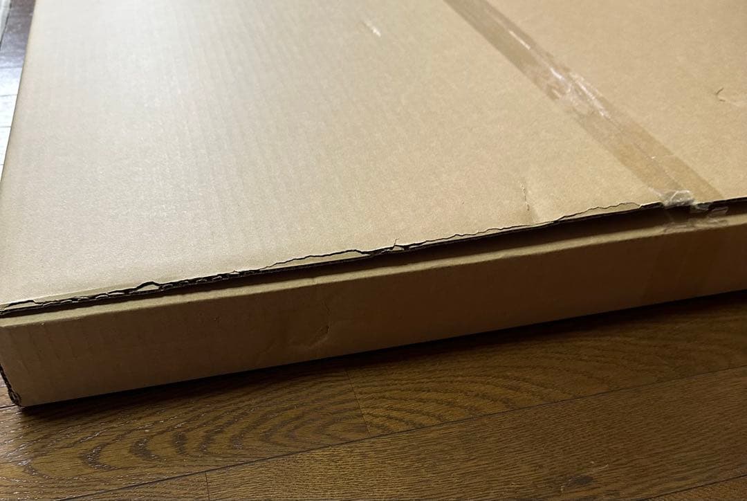 家庭教師ヒットマンREBORN 額装高精細デジタルカラー　天野明展