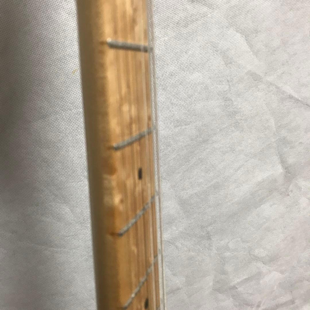 ※レフティEVH WOLFGANG special made in japan