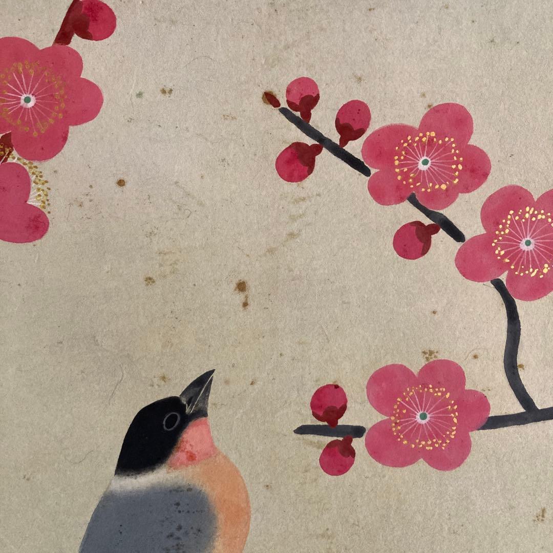 金島桂華「梅」38.4×45cm 2重箱　箱書き　紙本採色　豪華軸装　芸術院会員