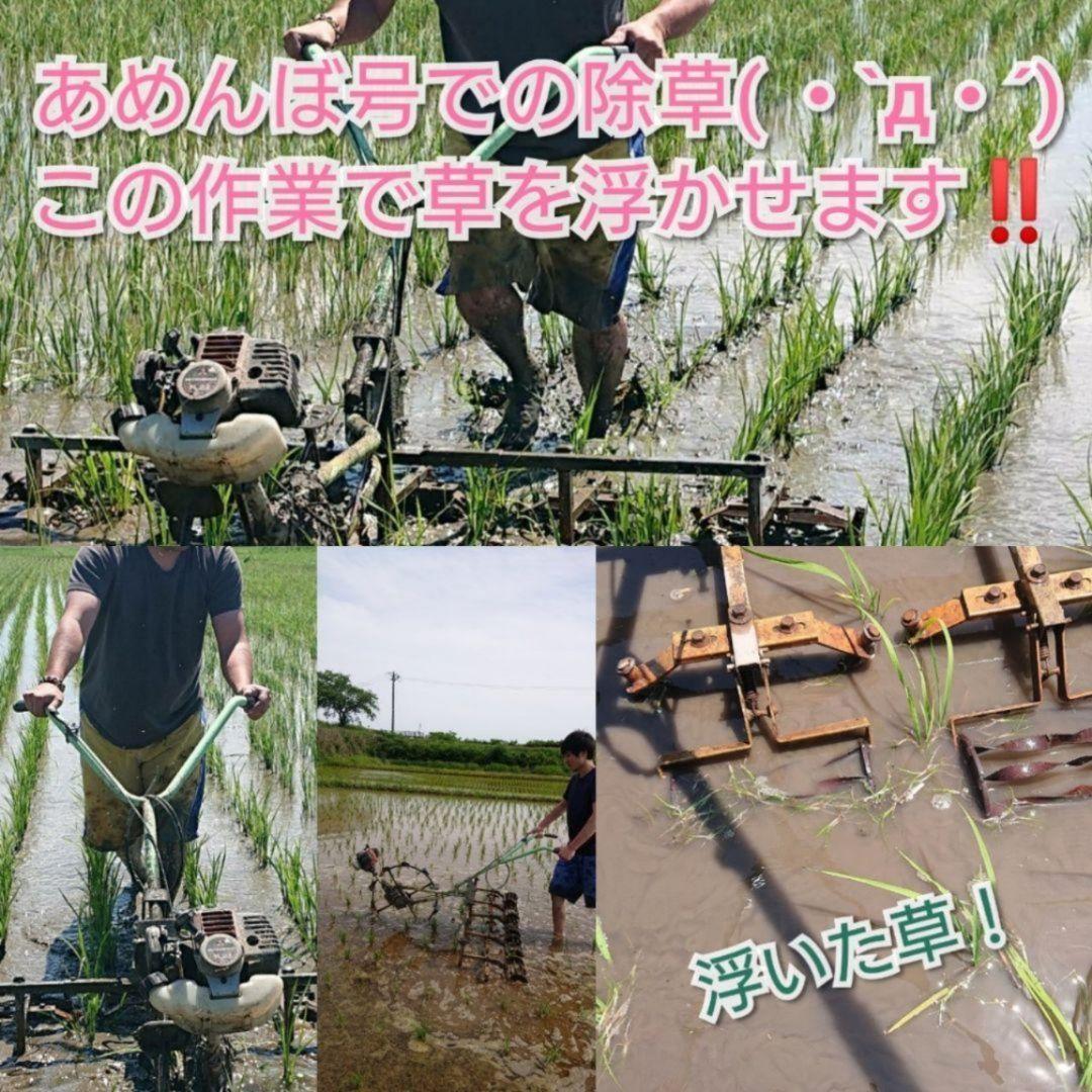 ササニシキ 玄米24kg 令和7年産 農薬不使用化学肥料不使用