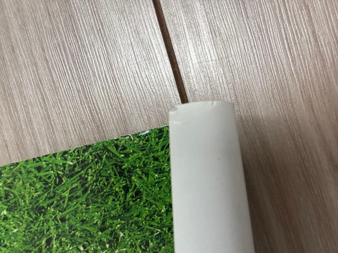 【超希少】DS 咲かせて！ちびロボ！　販促ポスターB2