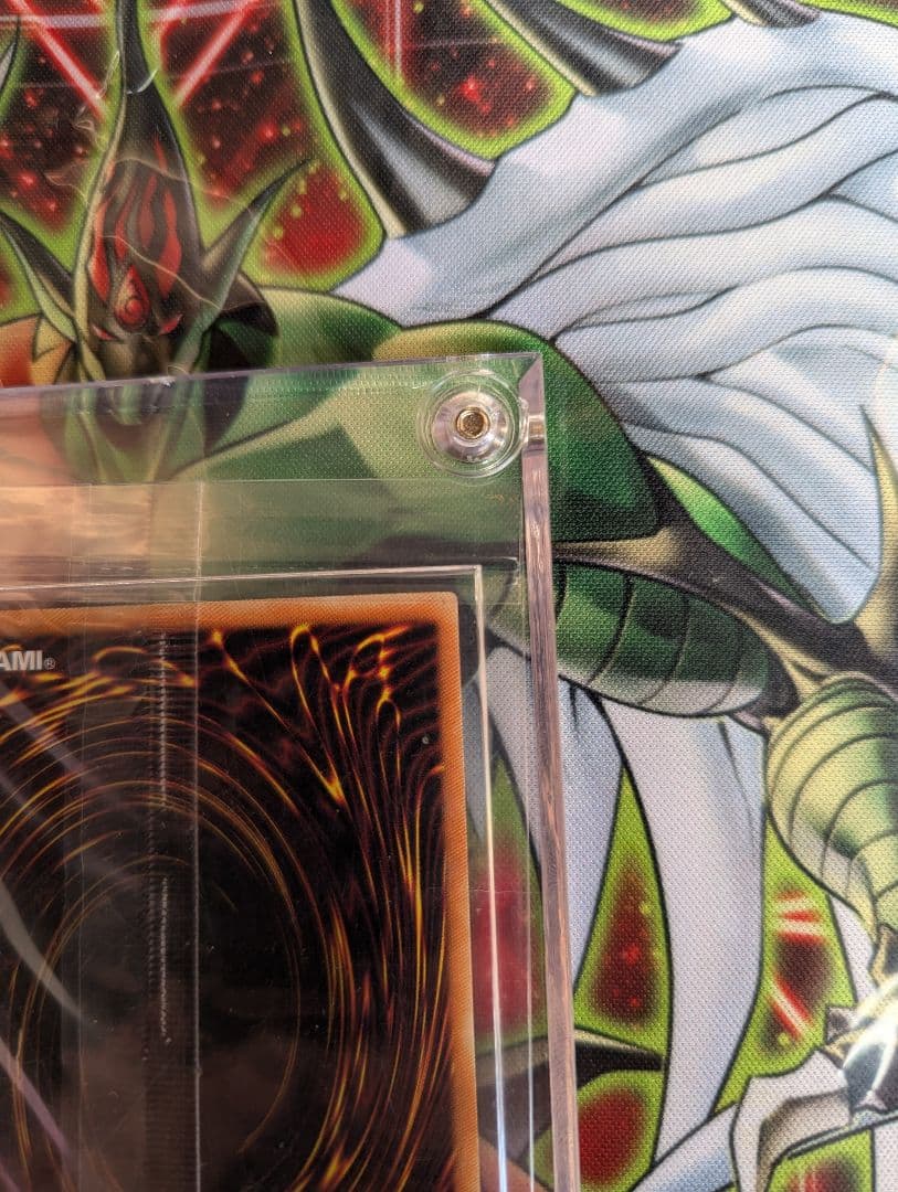 kanan the swordmistress 女剣士カナン　WCS-001