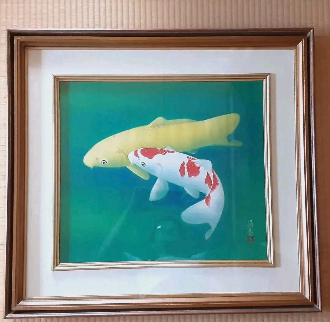 日本画　森島 清泰 　鯉　肉筆紙本