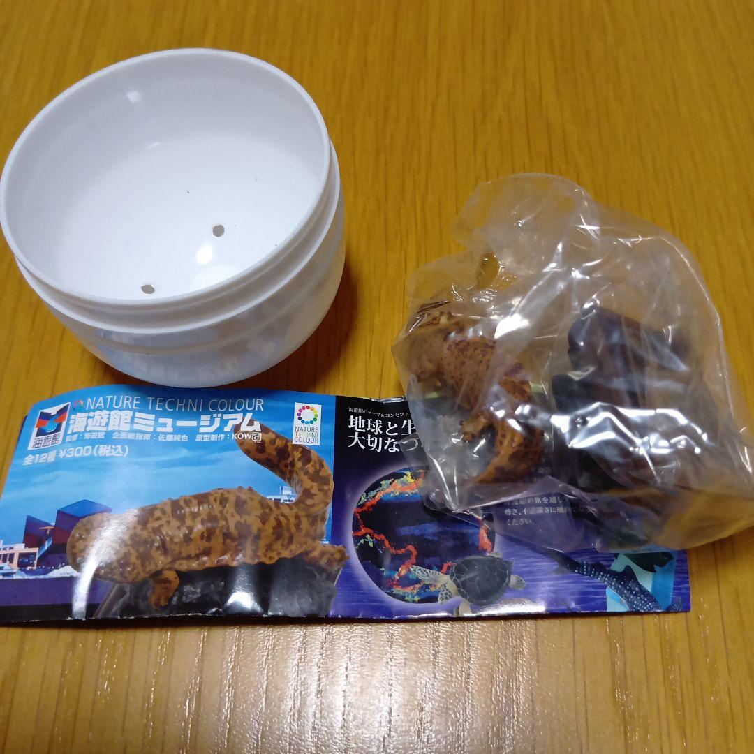 ネイチャーテクニカラー フィギュア 海遊館ミュージアム限定　全12種　新品