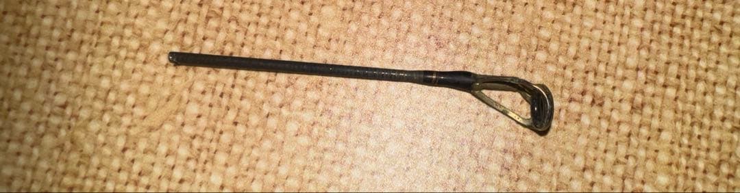 ダイワ　シーバス　ロッド