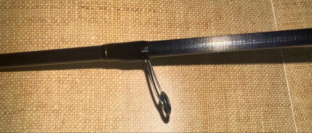 ダイワ　シーバス　ロッド