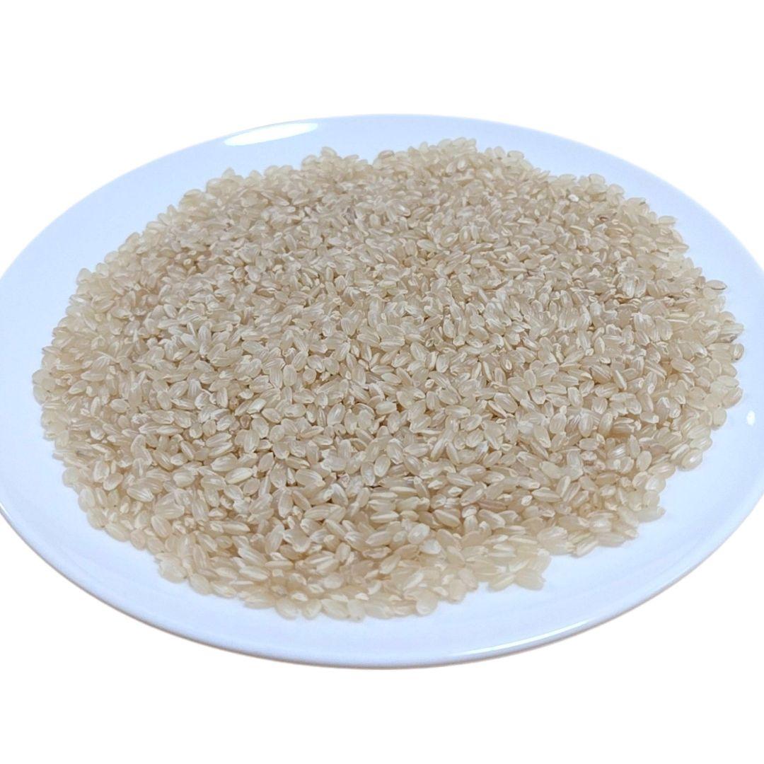 【玄米発送】令和7年産 茨城県産 コシヒカリ 玄米10Kg 10キロ ①