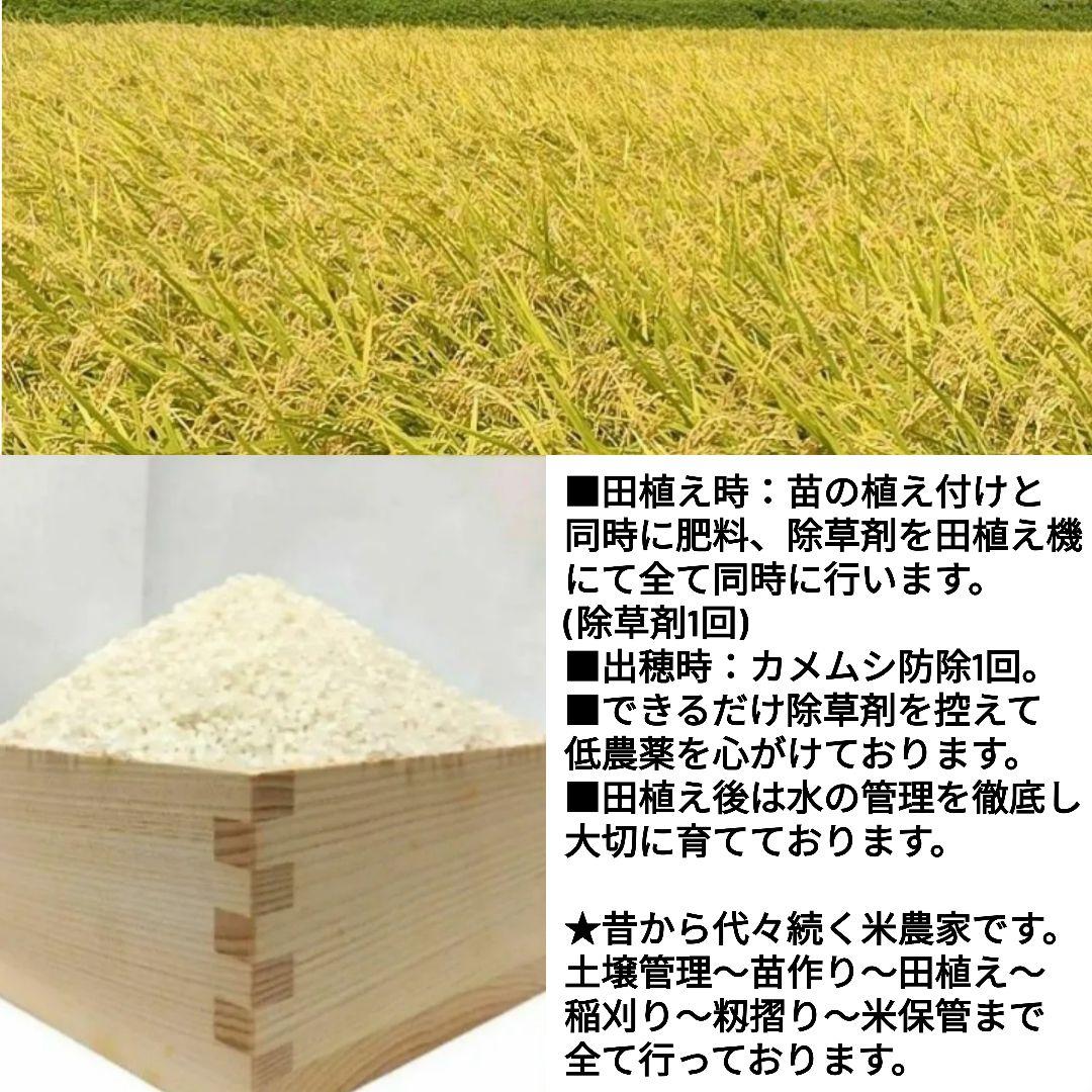 【玄米発送】令和7年産 茨城県産 コシヒカリ 玄米10Kg 10キロ ①