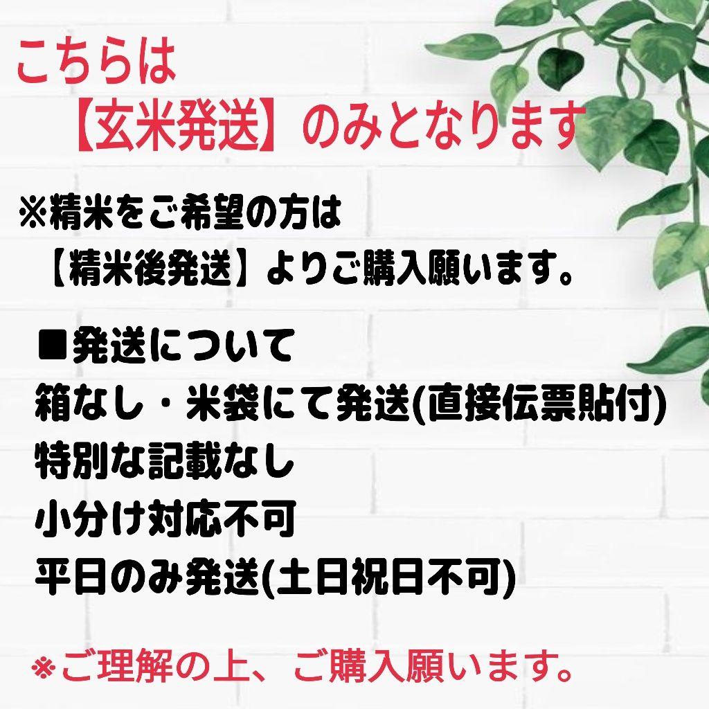 【玄米発送】令和7年産 茨城県産 コシヒカリ 玄米10Kg 10キロ ①