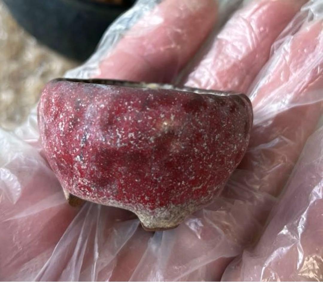 松寿　小品　盆栽鉢　レトロ　5個セット　(A5)