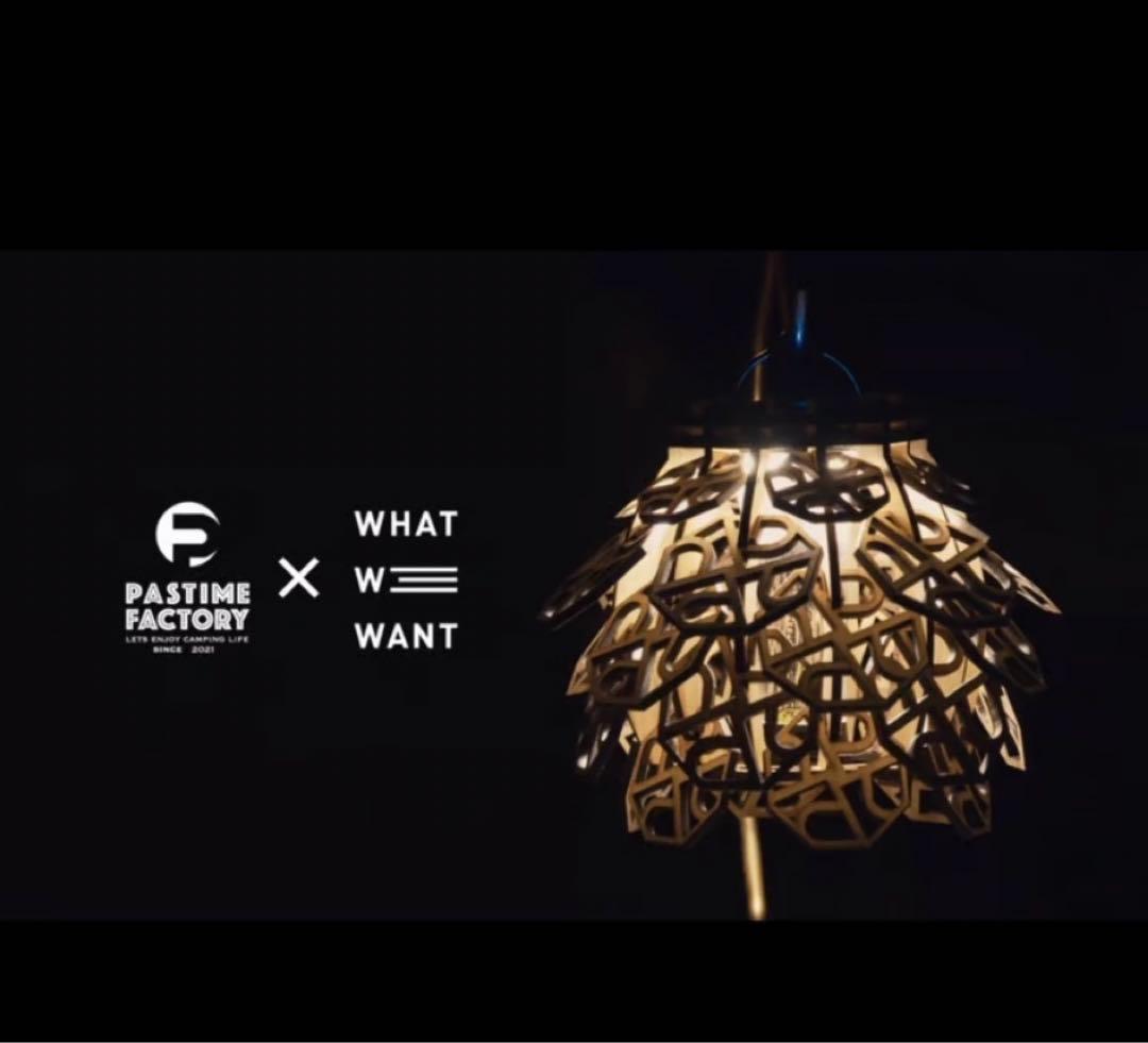 悪魔の実シリーズ　ピコピコの実