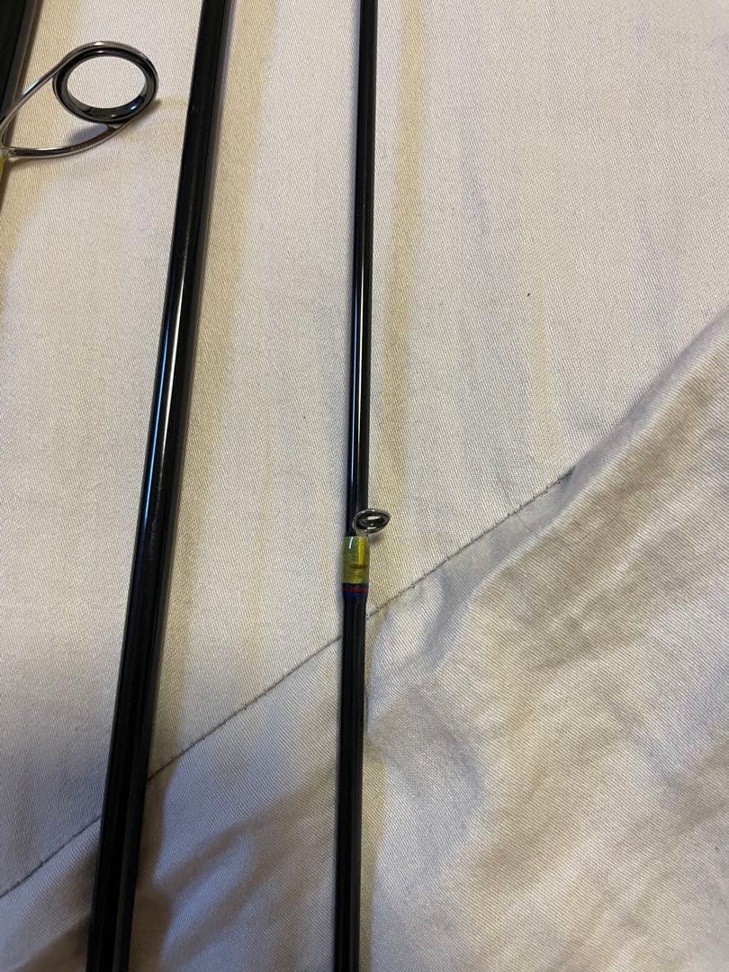 フィンチ　カナリア　95M