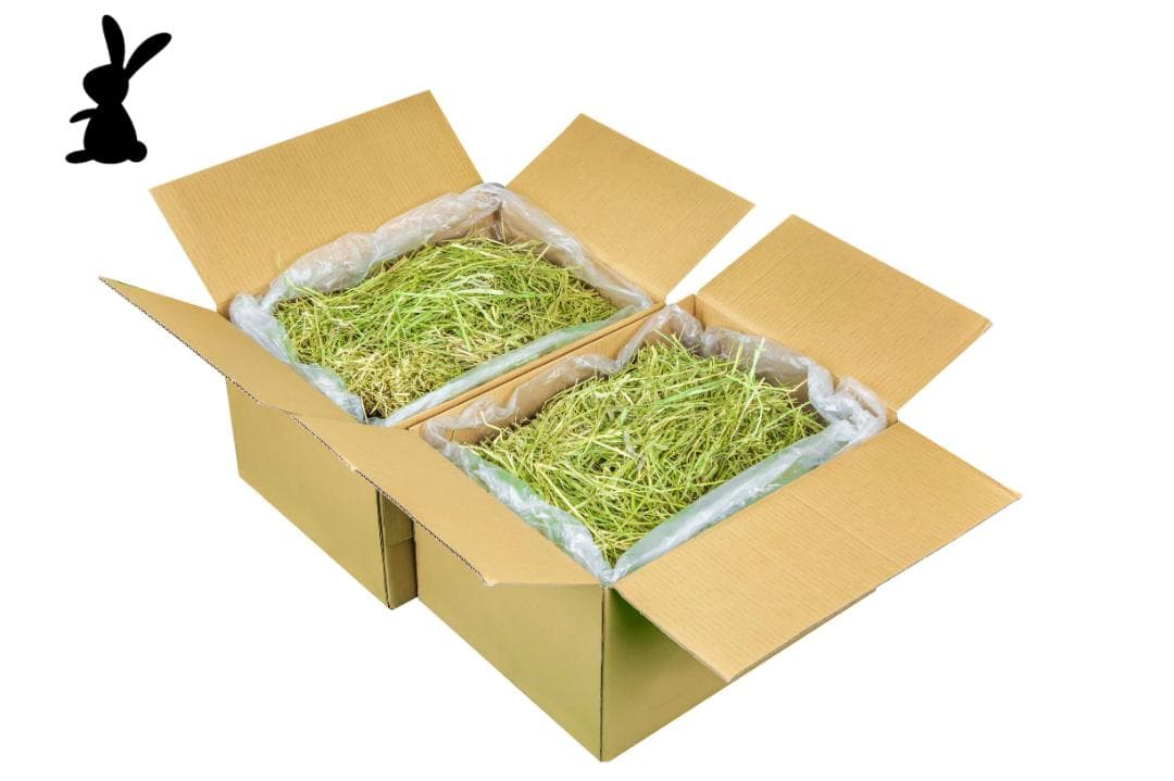 令和7年スーパープレミアムチモシー20㎏　ウサギ・デグー餌　牧草