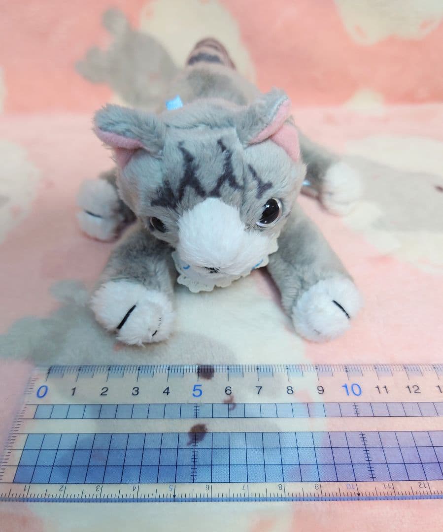 cat's issue 猫　ぬいぐるみ　AfternoonTea