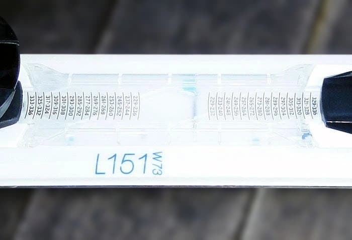 値下げ中　サロモン　SALOMON LAGOON 151cm スキー板