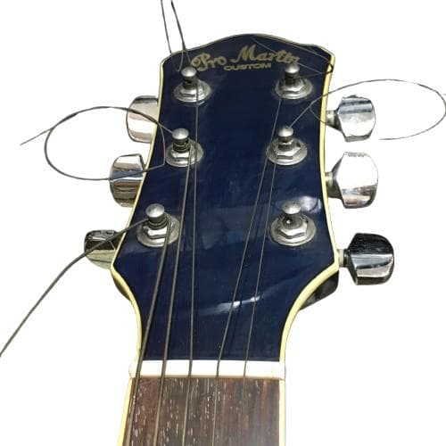 Y USED エレアコ Pro Martin custom ギター ブルー