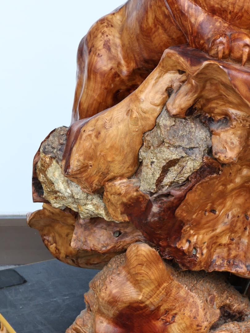 メル82601　木彫　玉杢　泡杢　石噛　一刀彫　豹　眼木象嵌　BK145