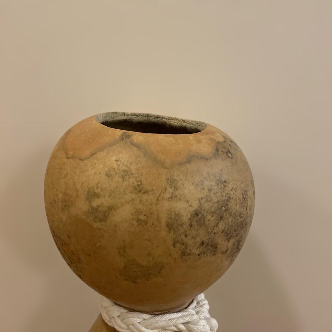 艶なし　イプヘケ　パレ