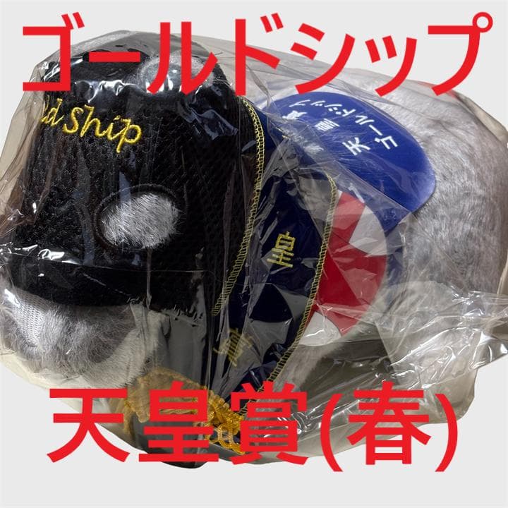 ゴールドシップ アイドルホース 競馬 ぬいぐるみ AVANTI ウマ娘 新品J①