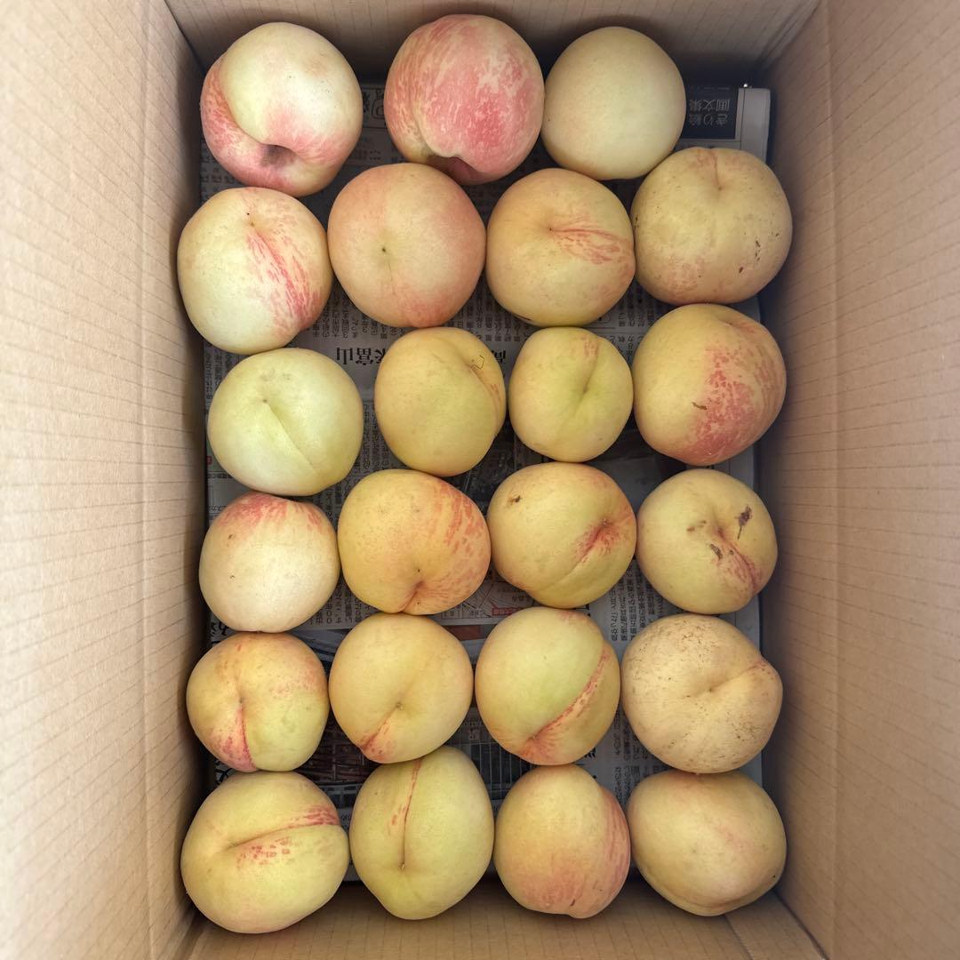 加工用　ほとんど小さい桃