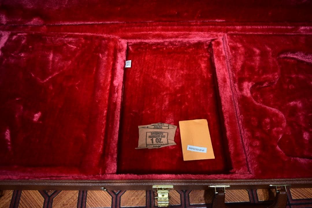 Gibson ノンリバ―ス・サンダーバード用ハードケース