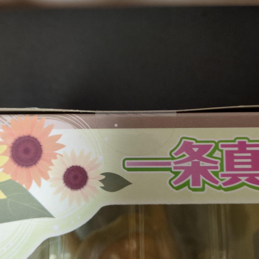 【未開封】一条真奈美