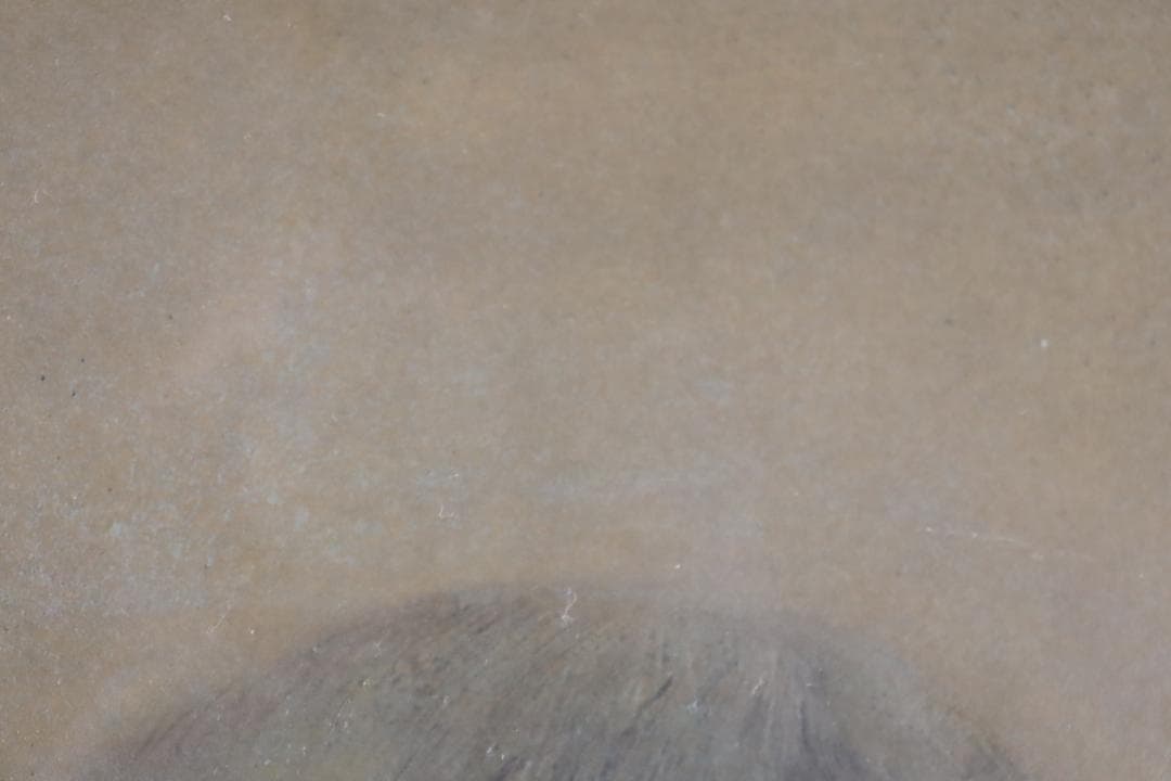 真作保証 堀泰明 「童暦」 日本画10号 共シール タトウ箱付 日展人気作家