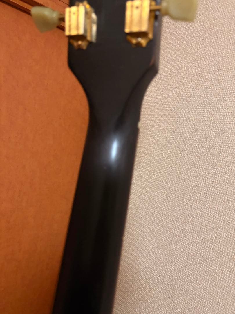 Les Paul studio plus /ベアナックル/ミュール