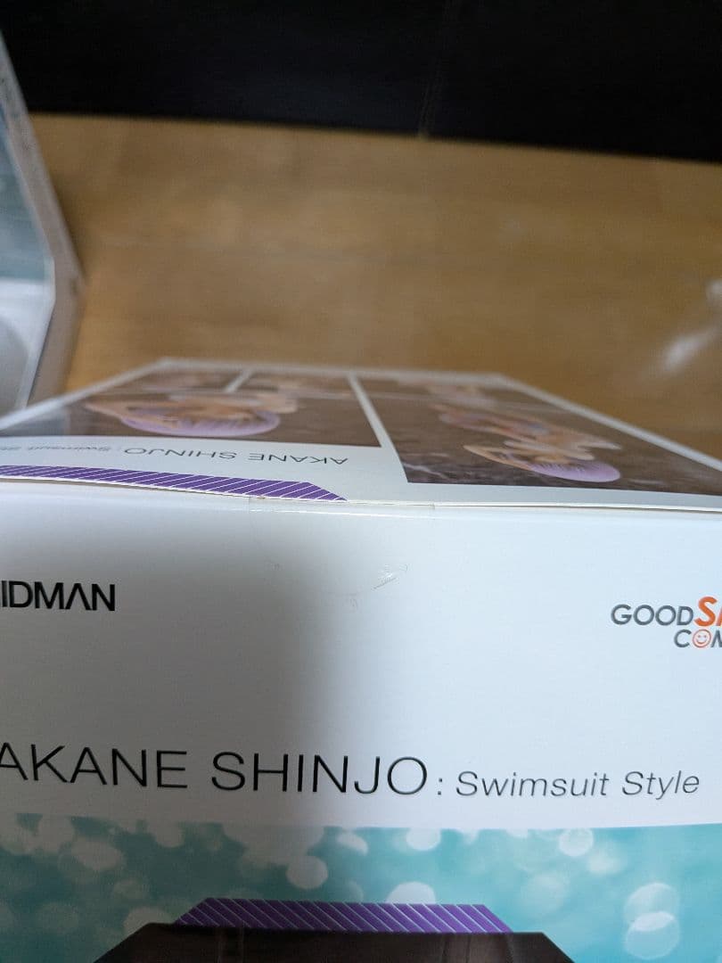 SSSS.GRIDMAN 宝多六花　新条アカネ　水着Style　　セット売り