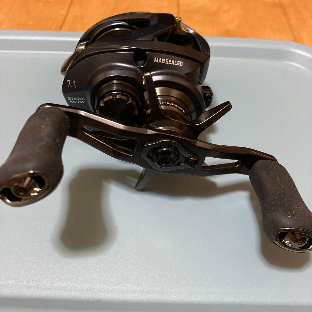 スティーズAⅡ TW 1000H 右