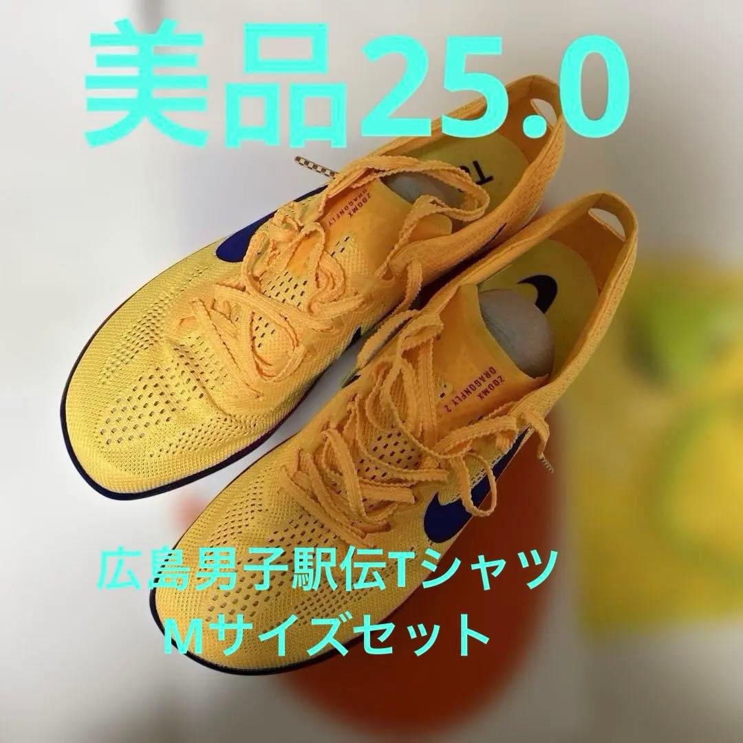 ナイキ　ドラゴンフライ2 美品25.0