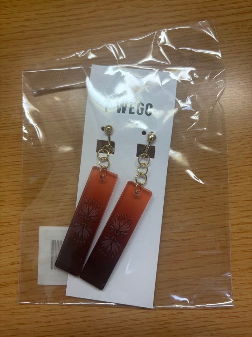 コンパス WEGO コラボ イヤリング うら 特典なし