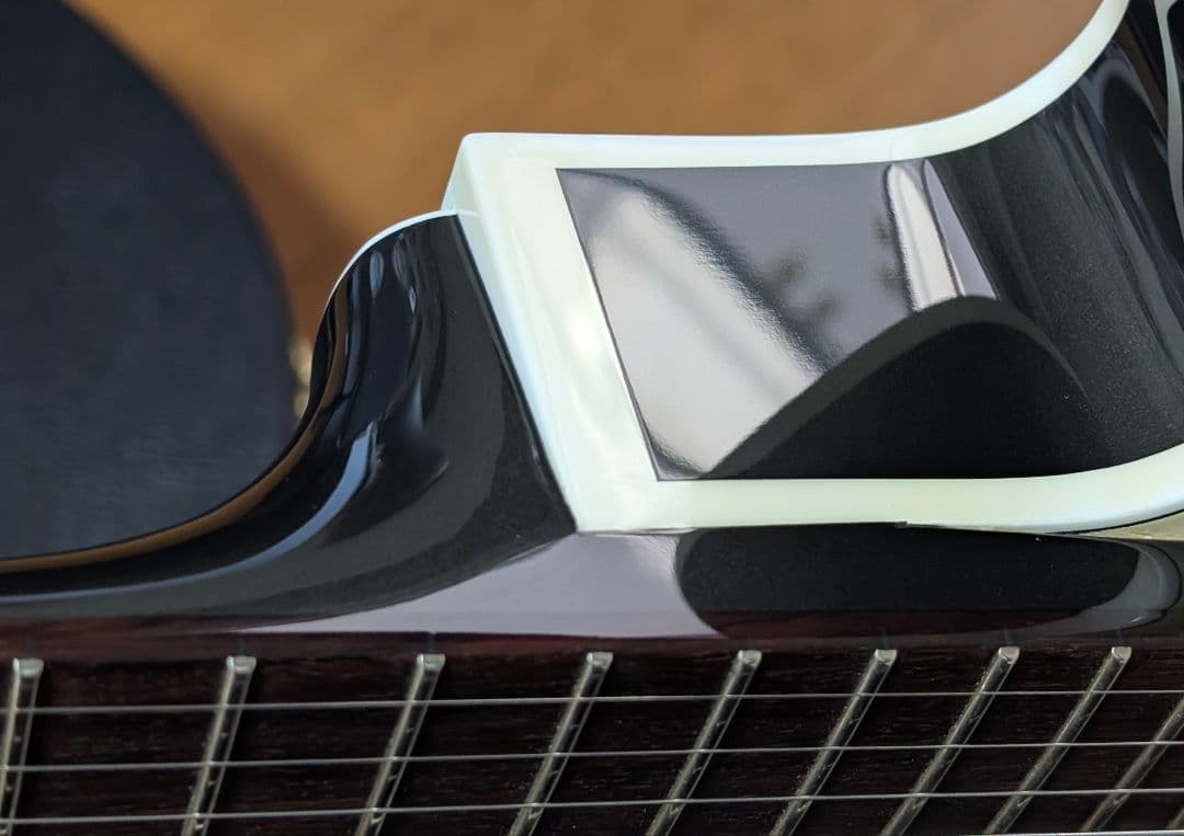 GRETSCH G6118T LIV ANNIVERSARY グレッチ