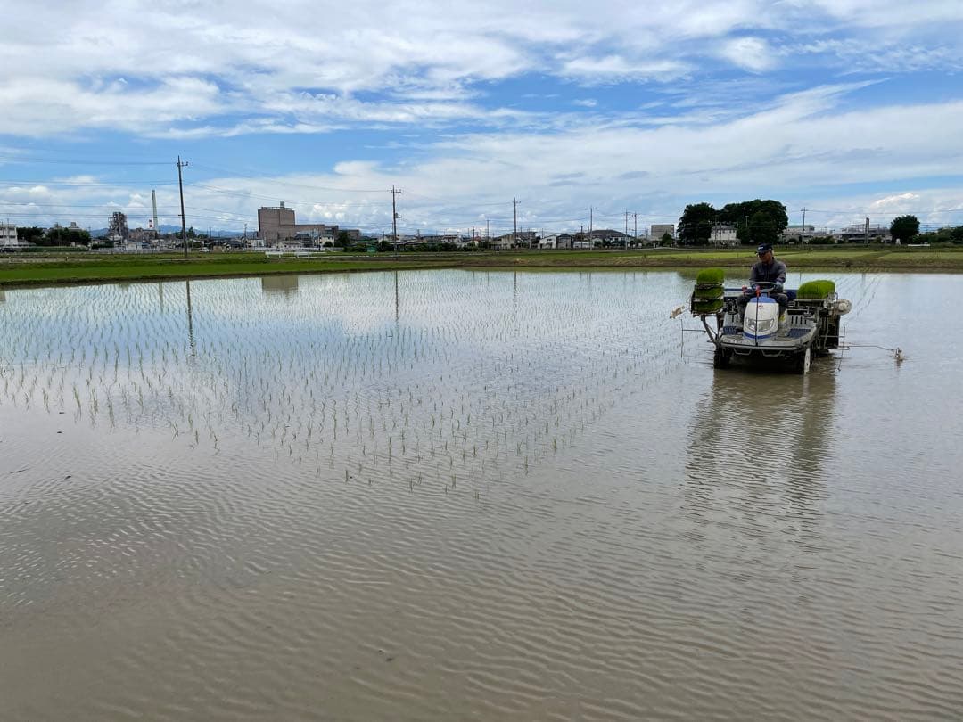 送料込み！令和7年9月新米ひとめぼれ　埼玉県熊谷産　専業農家　白米10キロ　中米