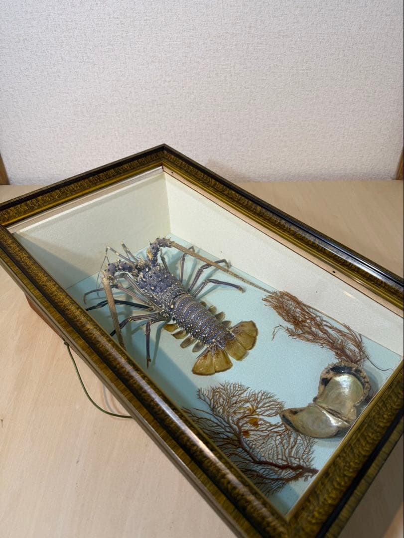 伊勢海老　置物　縁起物　海老