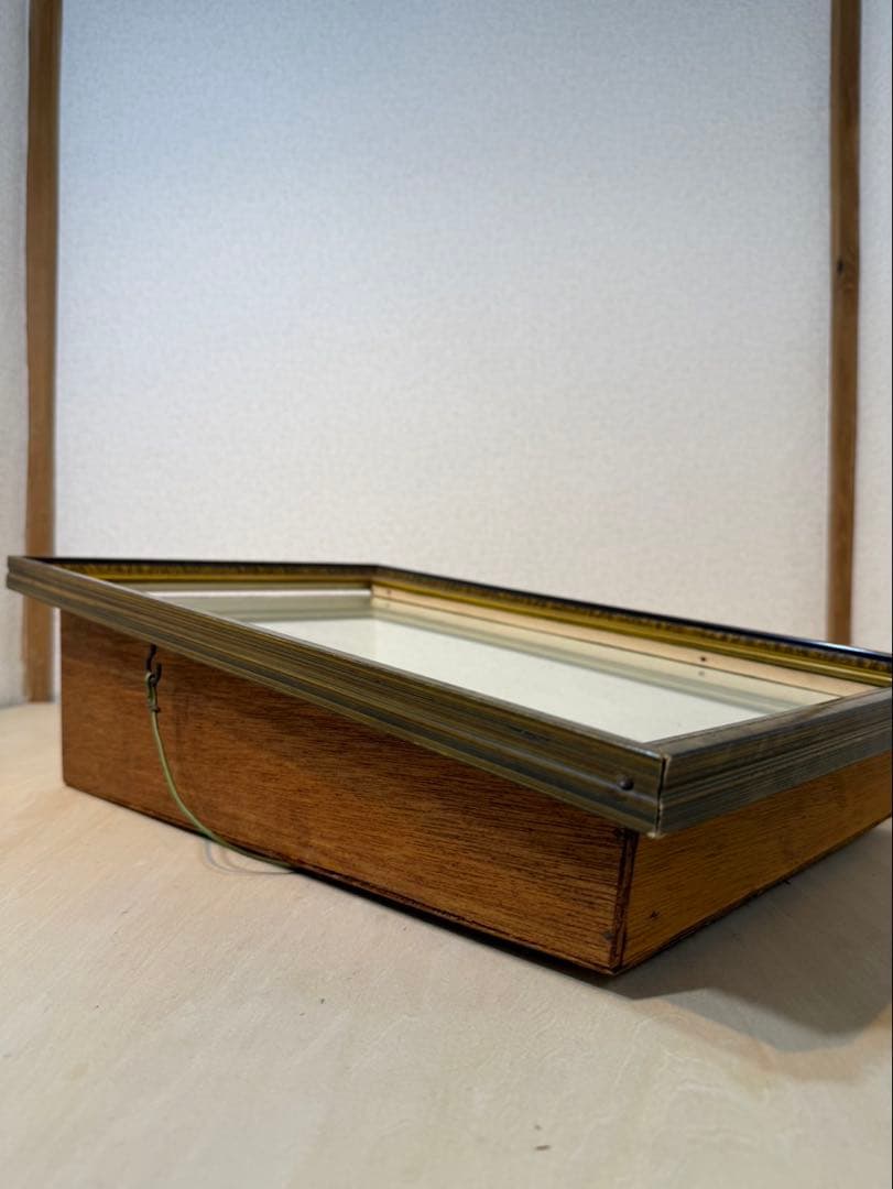 伊勢海老　置物　縁起物　海老