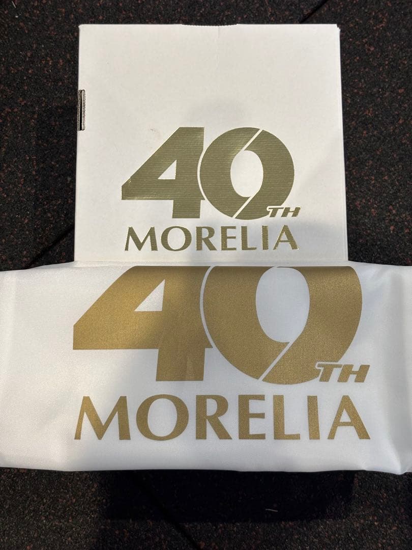 モレリアMizuno Morelia UL Japan 40th 26.5
