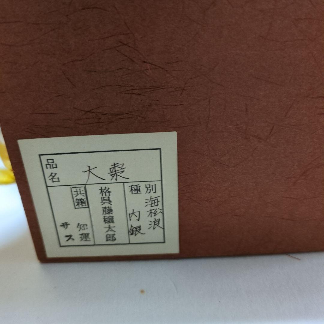 茶道　お薄器　大棗　呉藤譲太郎氏