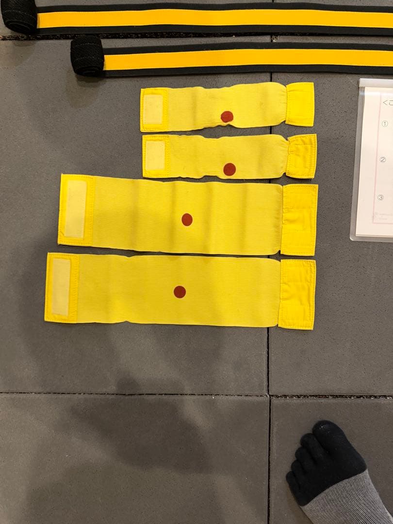 ゆがみーるlite 姿勢解析