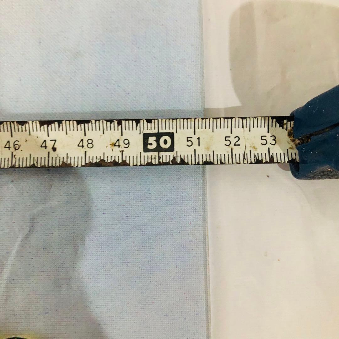 ウッディー・ウッドペッカー ウィニー・ウッドペッカー パネル インテリア