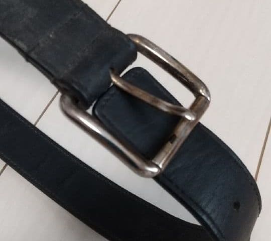 ちゅら　GUCCI 犬 首輪