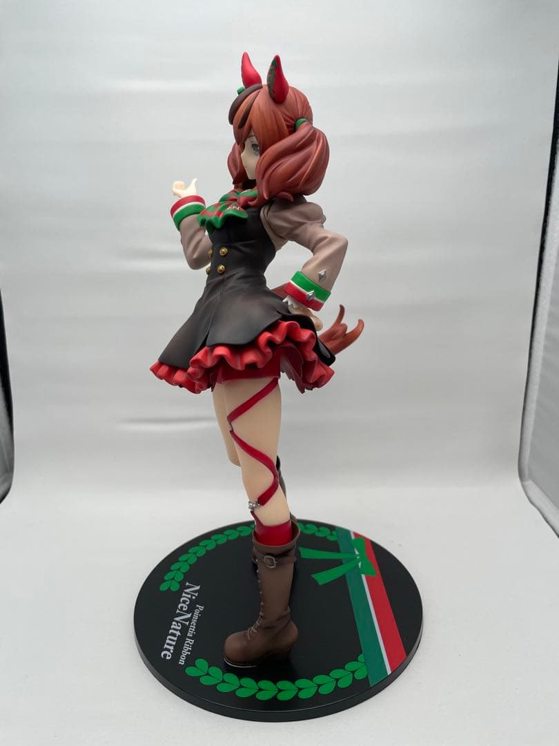 ナイスネイチャ