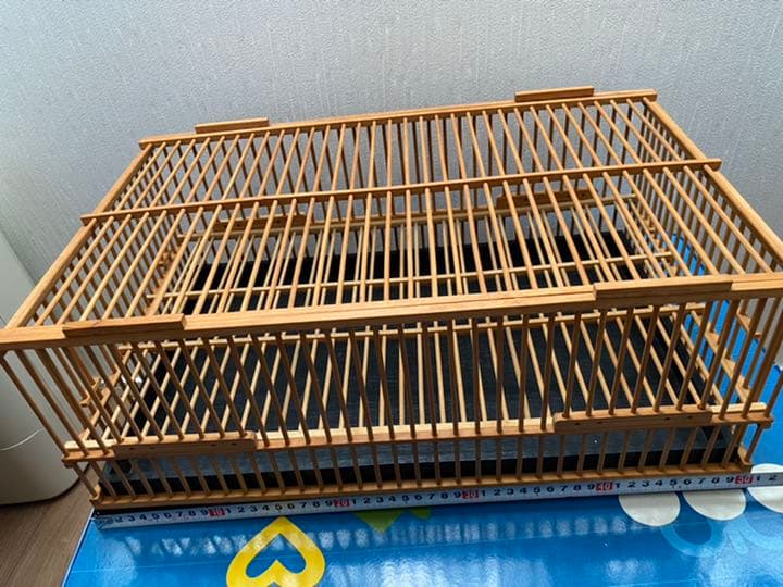 鳥籠　正方形　希少　約50cm
