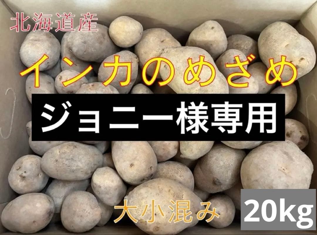 【ジョニー】北海道産じゃがいも（インカのめざめ）　大小混み20kg
