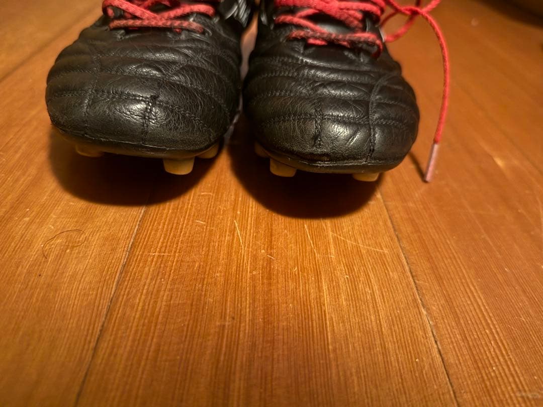 モレリアネオ 4